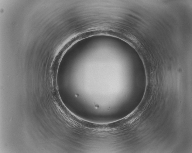 X0000057091118200509231643