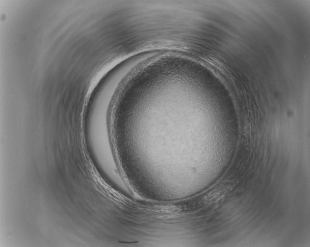 X0000057091120200509231643