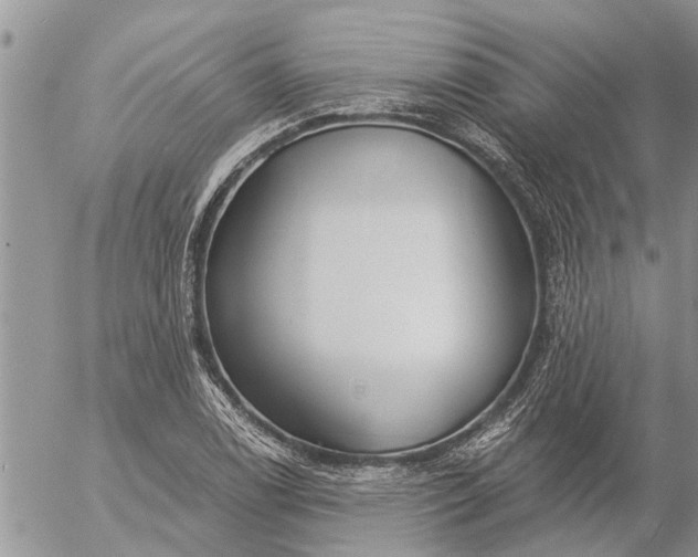 X0000057091122200509231643