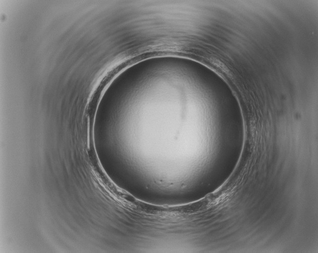 X0000057091123200509231643