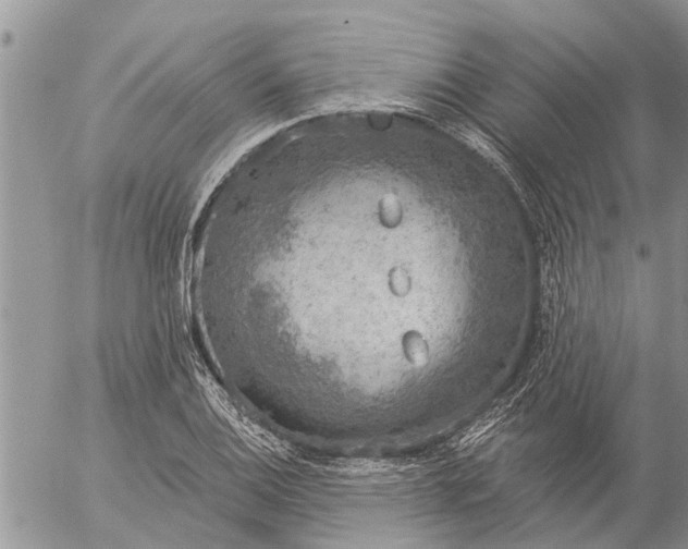 X0000057091124200509231643