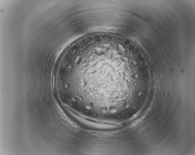 X0000057091125200509231643