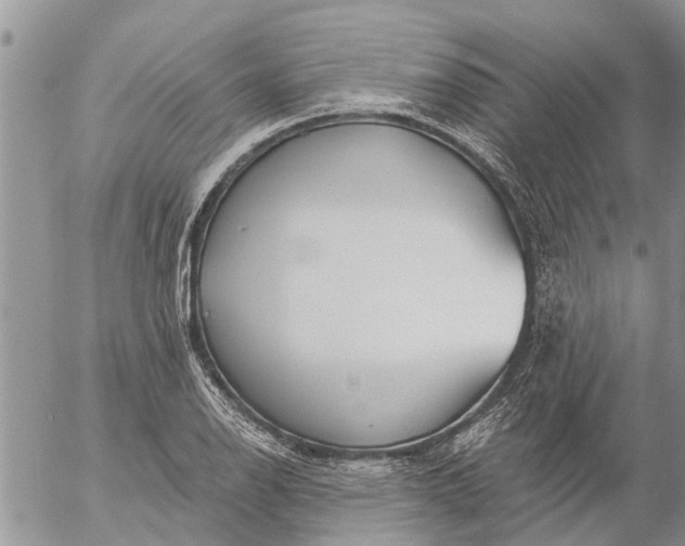 X0000057091126200509231643