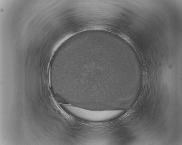 X0000057091127200509231643