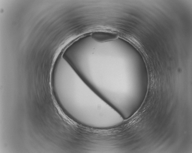 X0000057091128200509231643