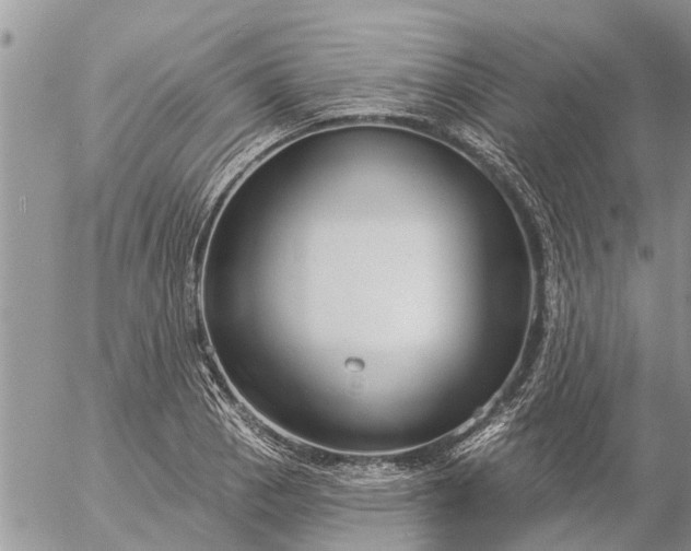 X0000057091129200509231643