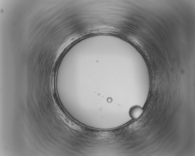 X0000057091130200509231643