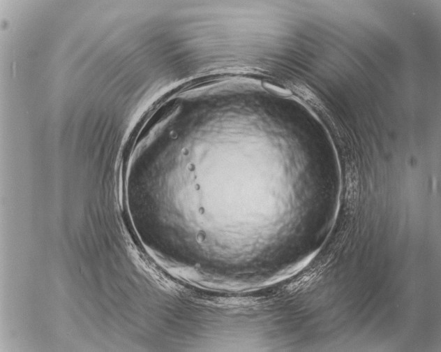 X0000057091132200509231643