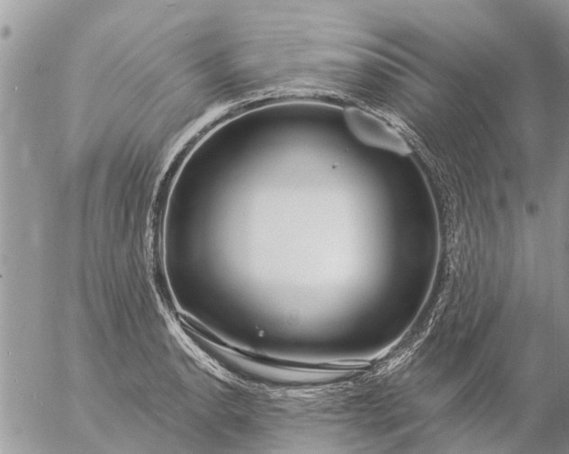 X0000057091134200509231643