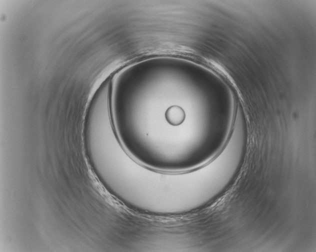 X0000057091138200509231643