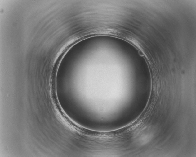 X0000057091139200509231643