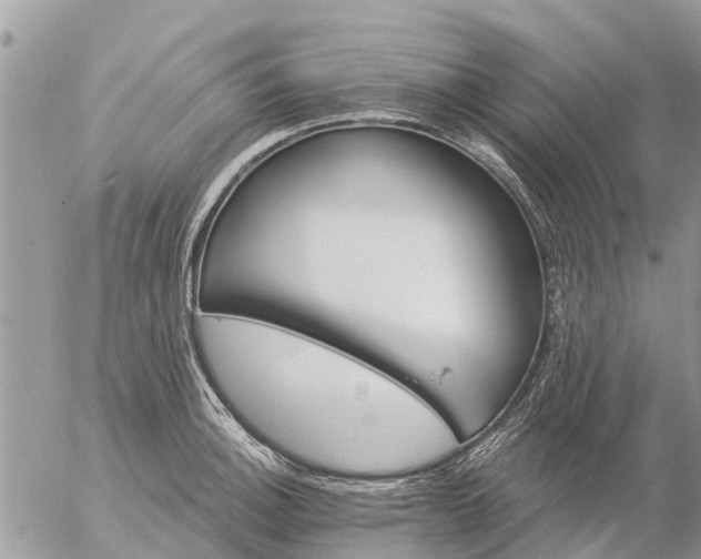 X0000057091140200509231643