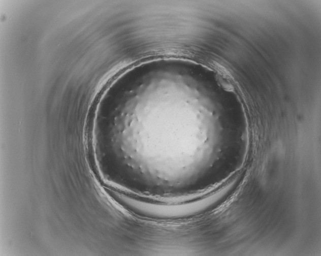 X0000057091141200509231643