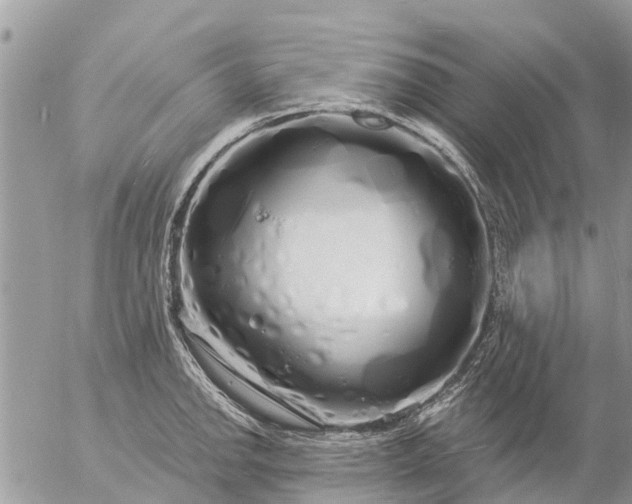 X0000057091142200509231643