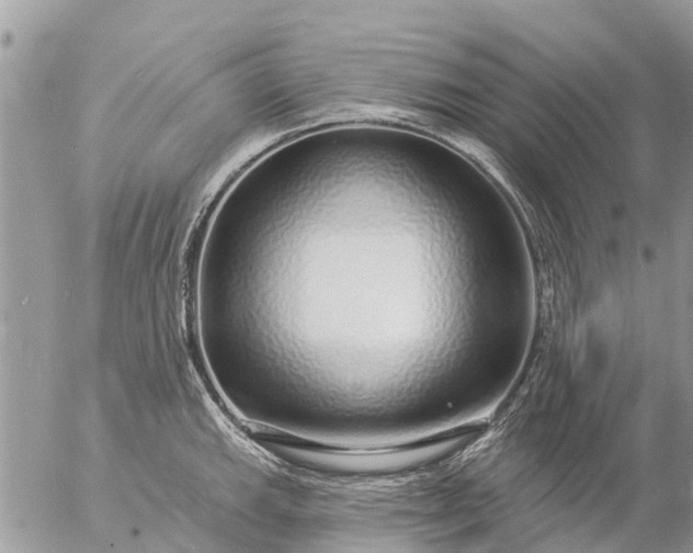 X0000057091143200509231643