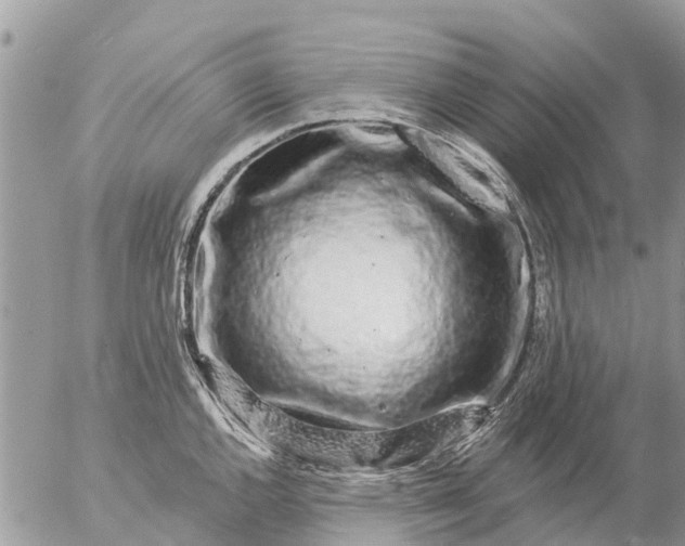 X0000057091144200509231643