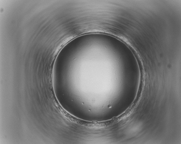 X0000057091145200509231643