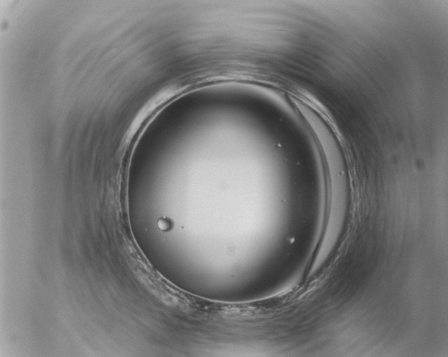 X0000057091146200509231643