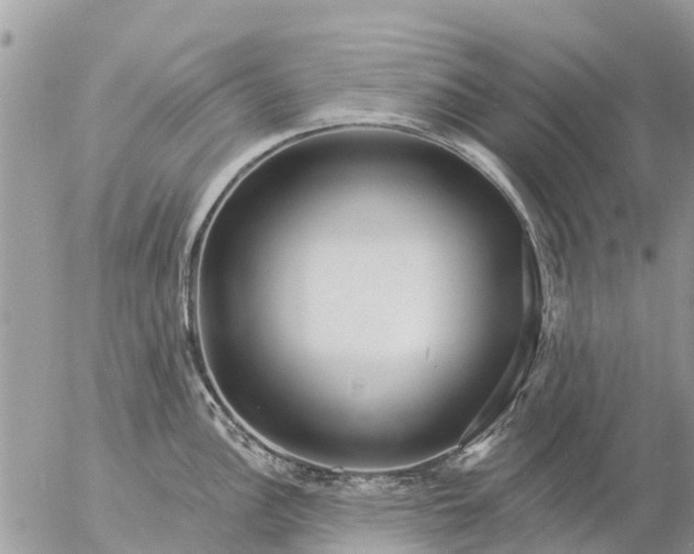 X0000057091148200509231643