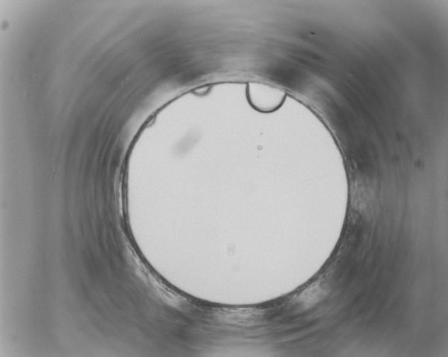 X0000057091150200509231643