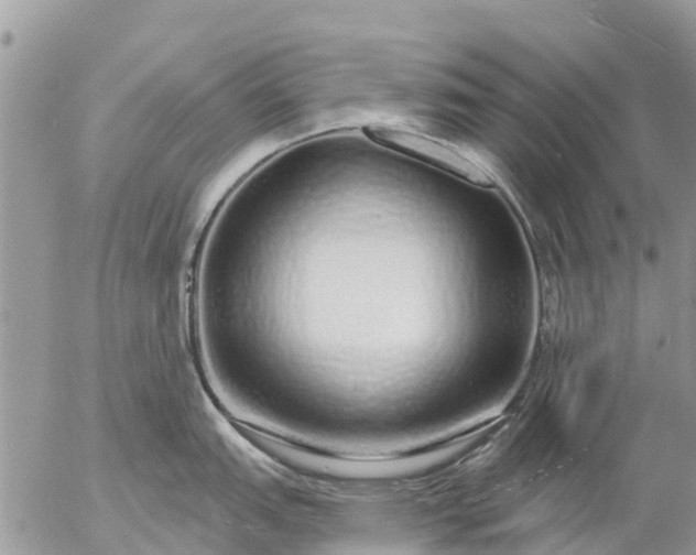 X0000057091151200509231643