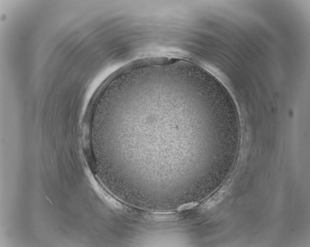 X0000057091152200509231643