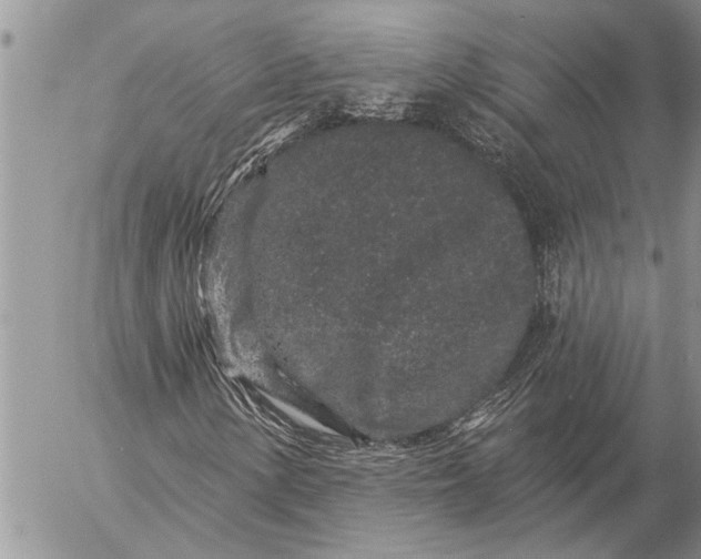 X0000057091154200509231642