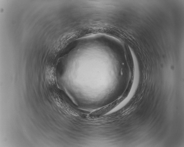 X0000057091156200509231642