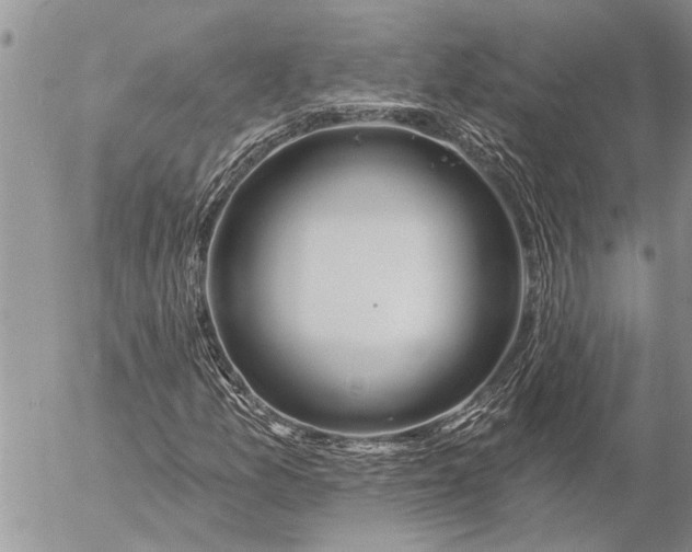 X0000057091157200509231642