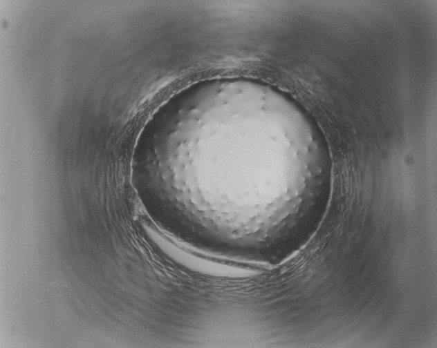 X0000057091158200509231642