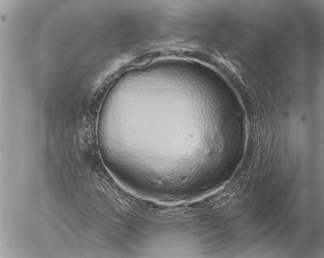 X0000057091159200509231642