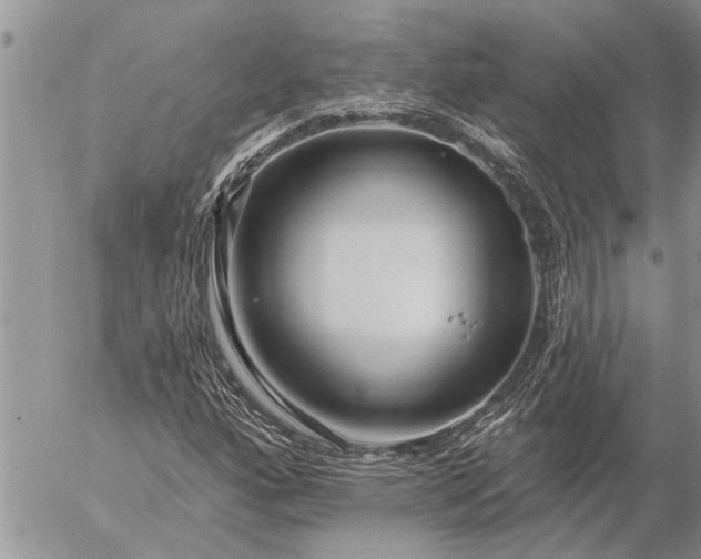 X0000057091160200509231642