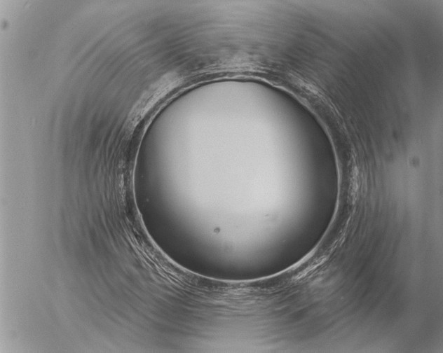 X0000057091162200509231642