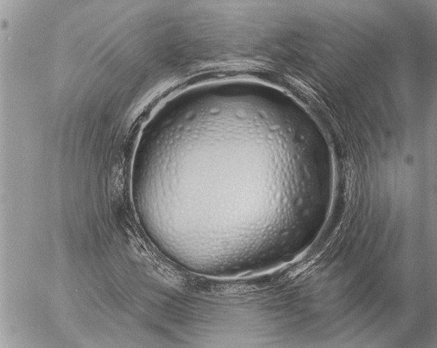 X0000057091163200509231642