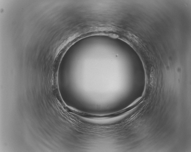 X0000057091165200509231642