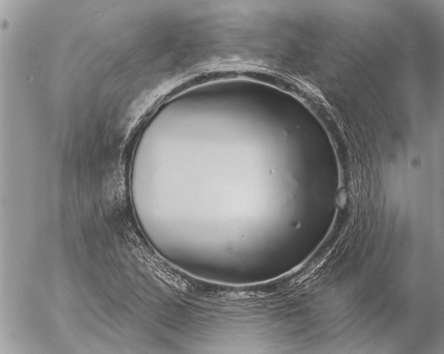 X0000057091167200509231642