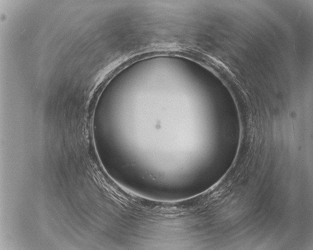 X0000057091168200509231642