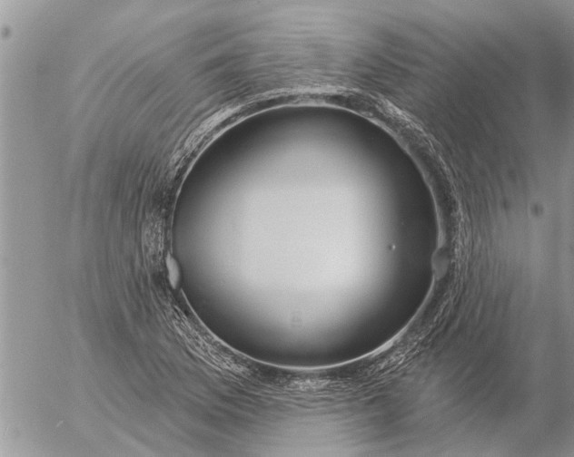 X0000057091169200509231642