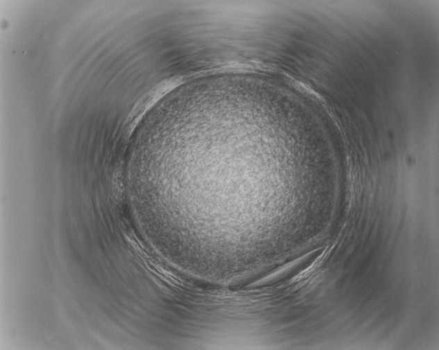 X0000057091170200509231642