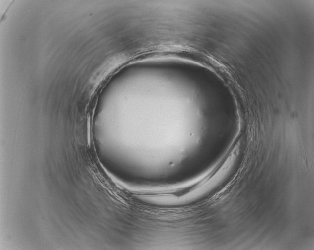 X0000057091171200509231642