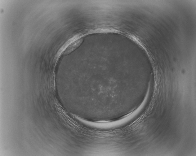 X0000057091173200509231642