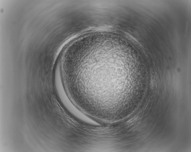 X0000057091174200509231642