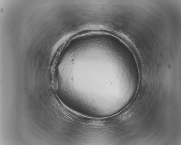 X0000057091175200509231642