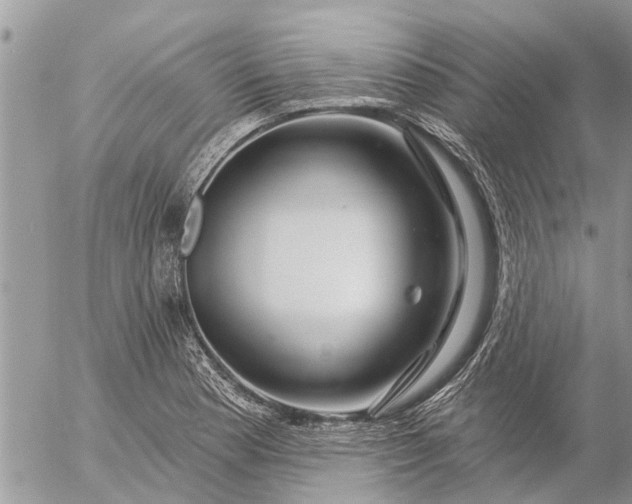 X0000057091177200509231642