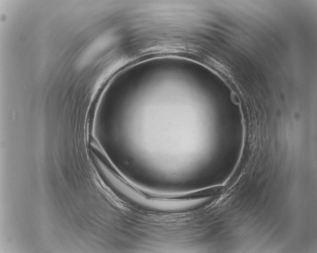 X0000057091179200509231642