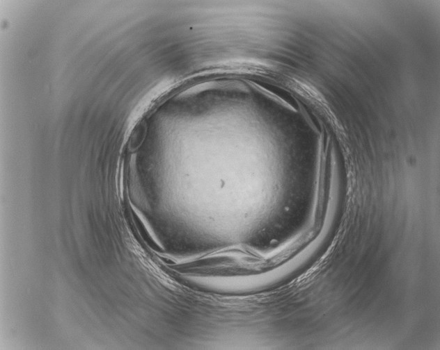 X0000057091180200509231642