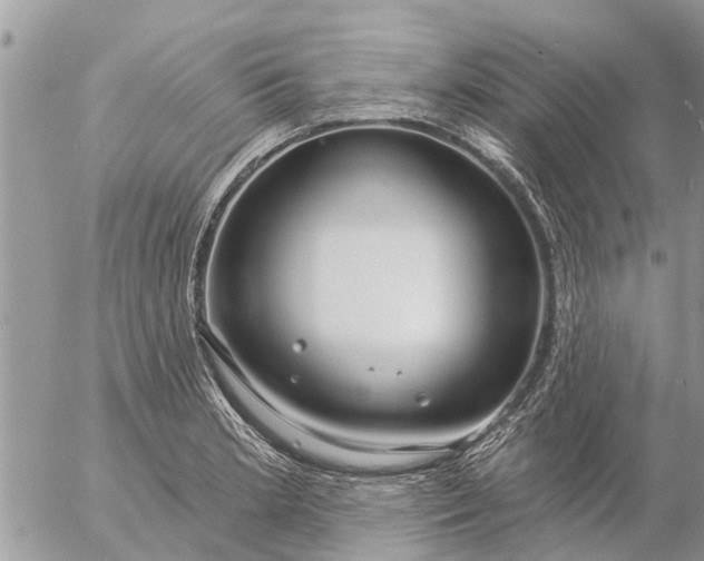 X0000057091181200509231642