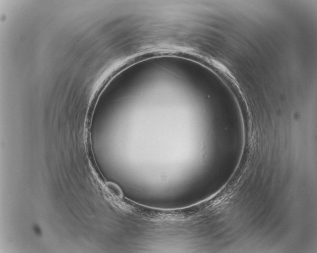 X0000057091183200509231642