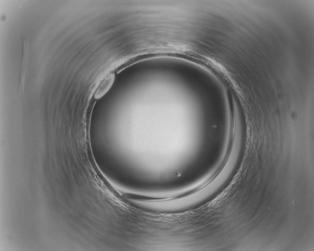 X0000057091184200509231642