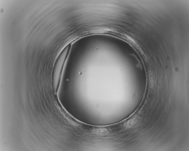 X0000057091186200509231642